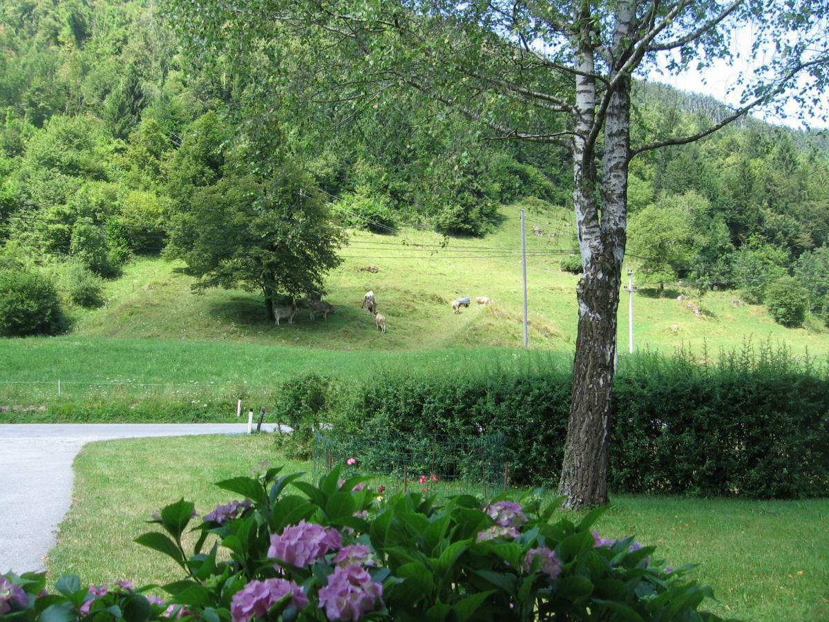 Vila Vrata Pri Cepovanu Exteriér fotografie