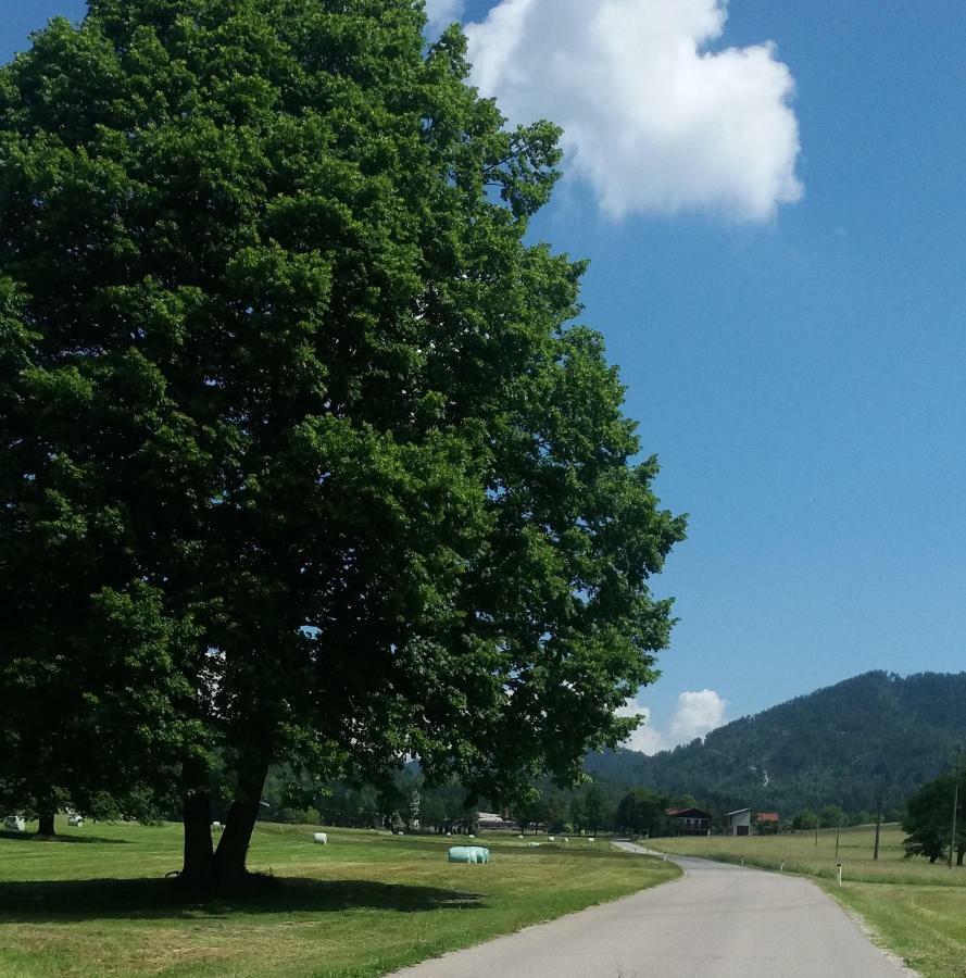 Vila Vrata Pri Cepovanu Exteriér fotografie