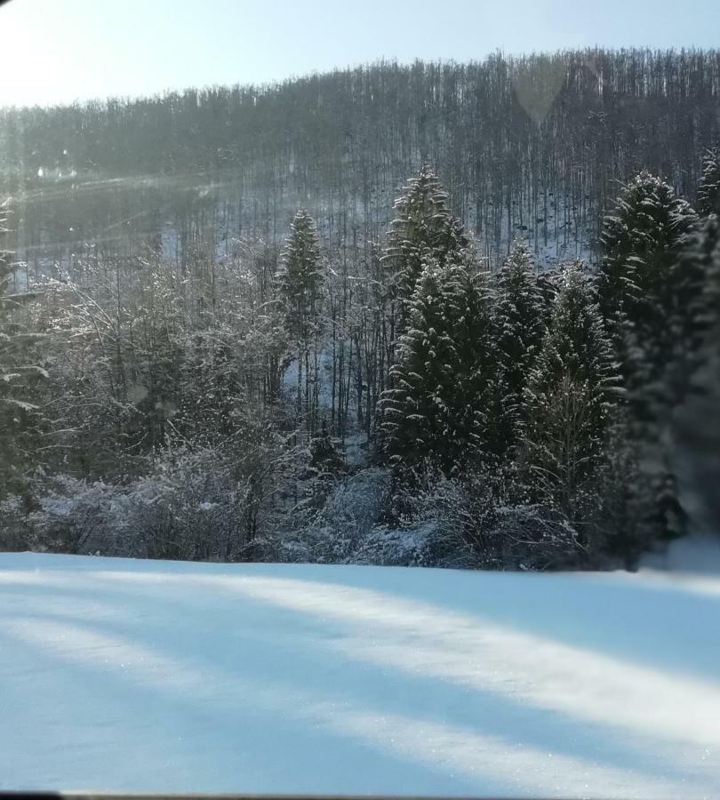 Vila Vrata Pri Cepovanu Exteriér fotografie