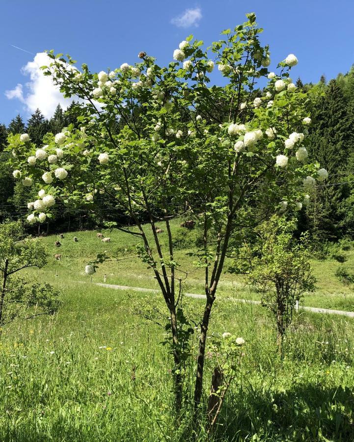 Vila Vrata Pri Cepovanu Exteriér fotografie